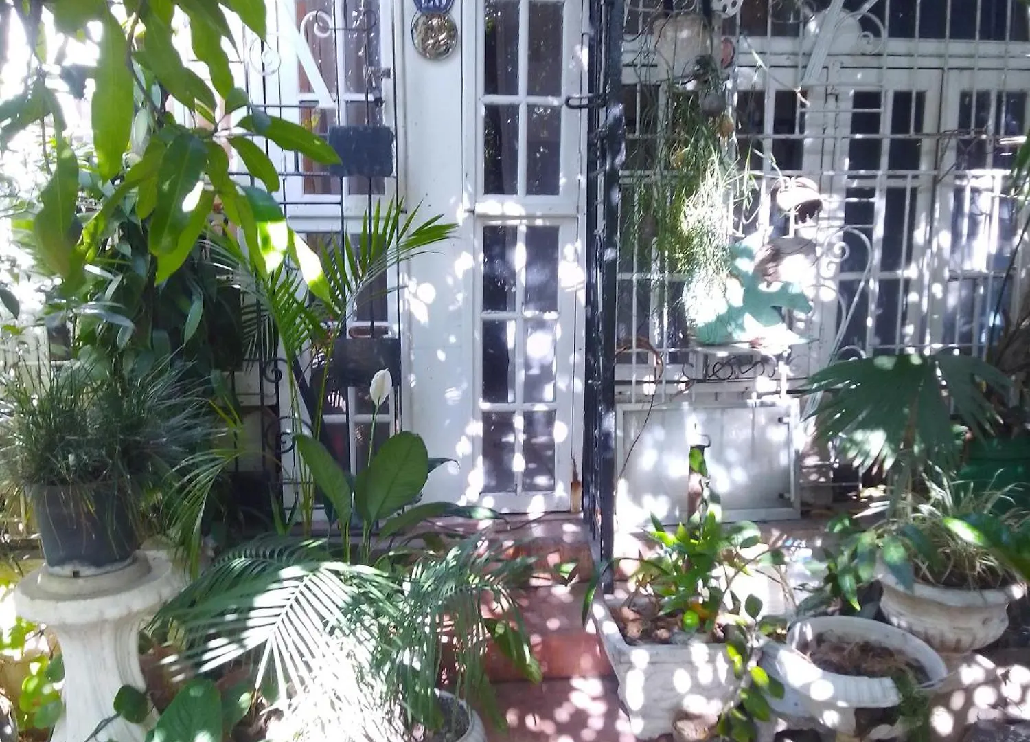 Captain Morgan House Κίνγκστον Δωμάτια σε οικογενειακή κατοικία