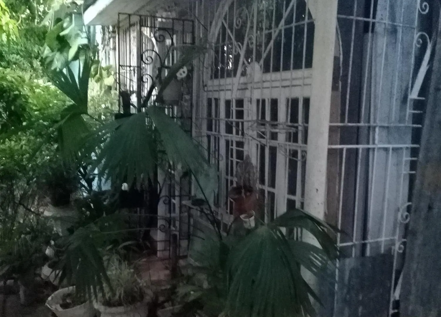 Δωμάτια σε οικογενειακή κατοικία Captain Morgan House Κίνγκστον